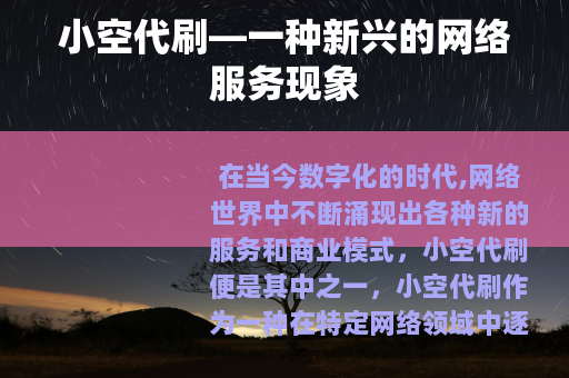 小空代刷—一种新兴的网络服务现象