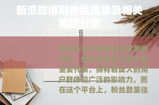 新浪微博刷粉丝现象及相关策略分析