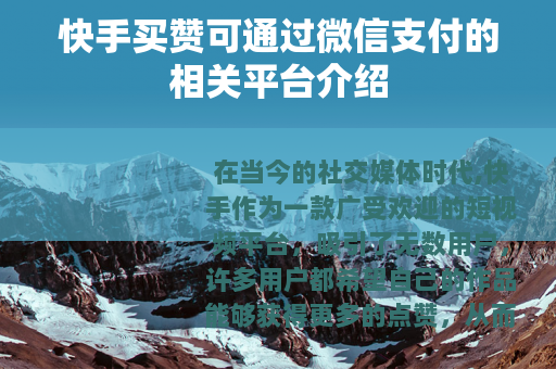 快手买赞可通过微信支付的相关平台介绍