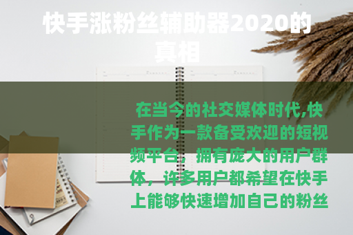 快手涨粉丝辅助器2020的真相