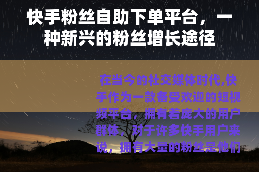 快手粉丝自助下单平台，一种新兴的粉丝增长途径