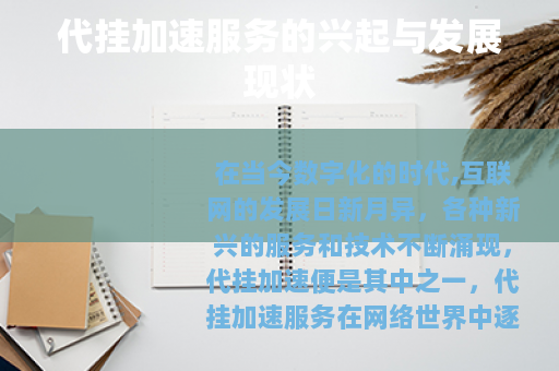 代挂加速服务的兴起与发展现状