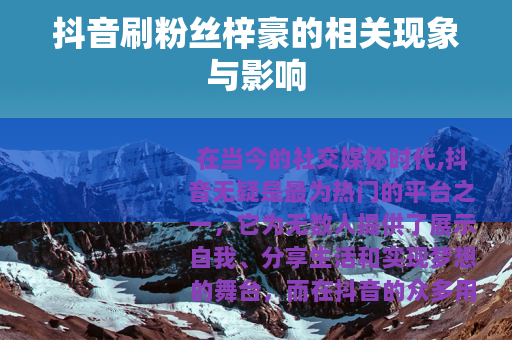 抖音刷粉丝梓豪的相关现象与影响
