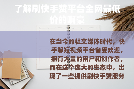 了解刷快手赞平台全网最低价的啊豪