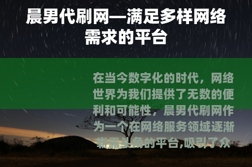 晨男代刷网—满足多样网络需求的平台