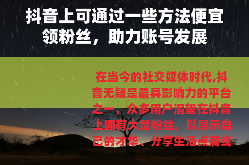 抖音上可通过一些方法便宜领粉丝，助力账号发展
