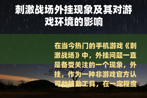 刺激战场外挂现象及其对游戏环境的影响