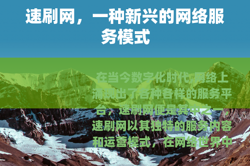 速刷网，一种新兴的网络服务模式