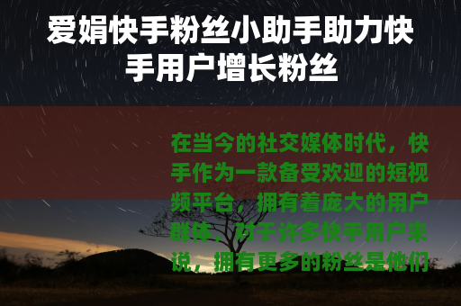 爱娟快手粉丝小助手助力快手用户增长粉丝
