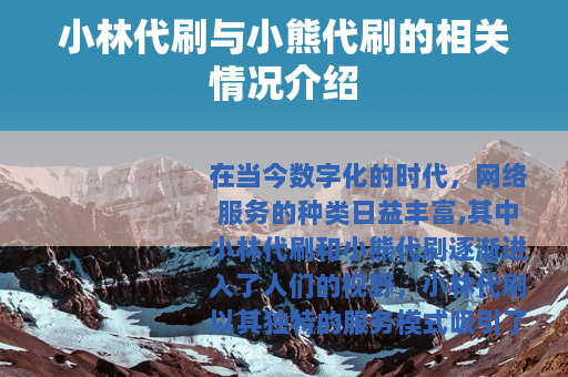 小林代刷与小熊代刷的相关情况介绍