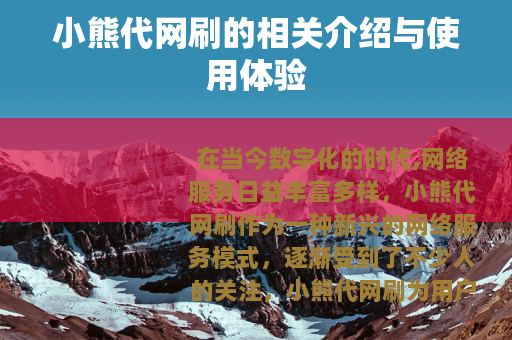 小熊代网刷的相关介绍与使用体验