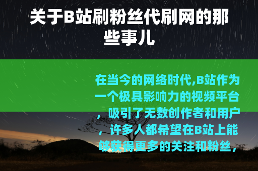 关于B站刷粉丝代刷网的那些事儿