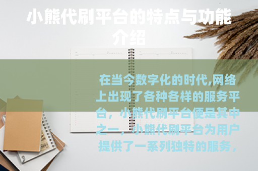 小熊代刷平台的特点与功能介绍