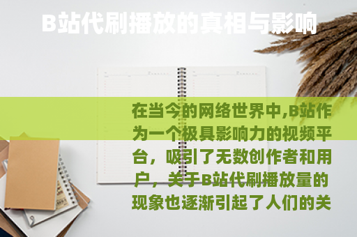 B站代刷播放的真相与影响