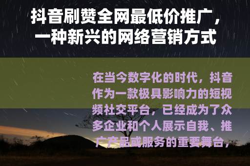 抖音刷赞全网最低价推广，一种新兴的网络营销方式