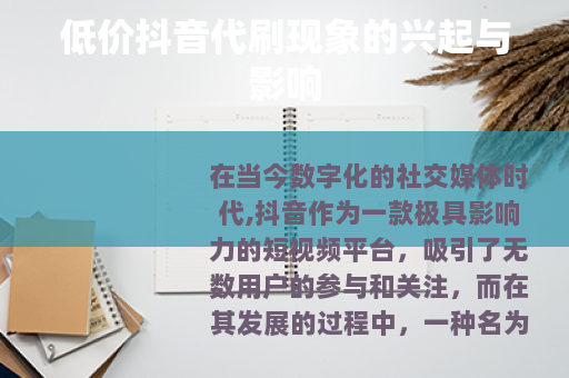 低价抖音代刷现象的兴起与影响