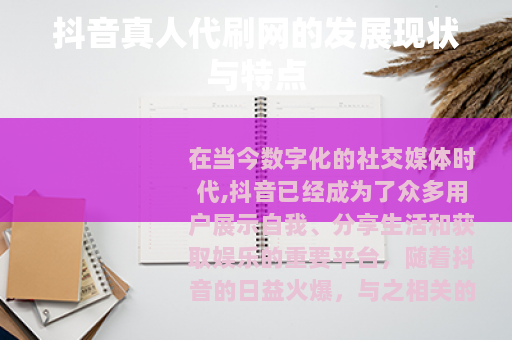 抖音真人代刷网的发展现状与特点