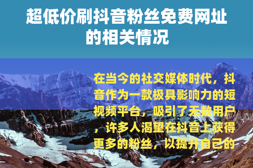 超低价刷抖音粉丝免费网址的相关情况