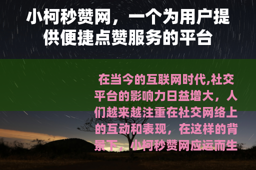 小柯秒赞网，一个为用户提供便捷点赞服务的平台