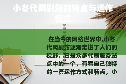 小冬代网刷站的特点与运作模式