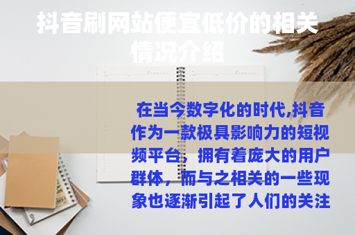 抖音刷网站便宜低价的相关情况介绍