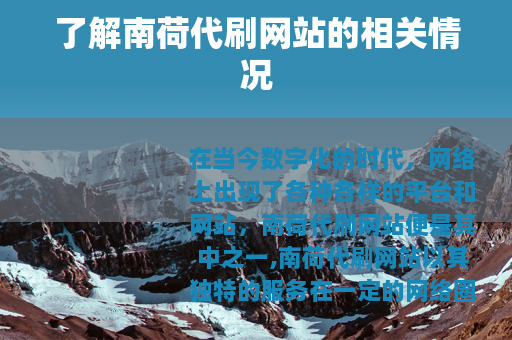 了解南荷代刷网站的相关情况