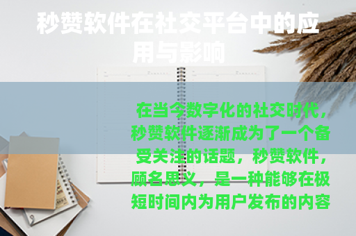 秒赞软件在社交平台中的应用与影响