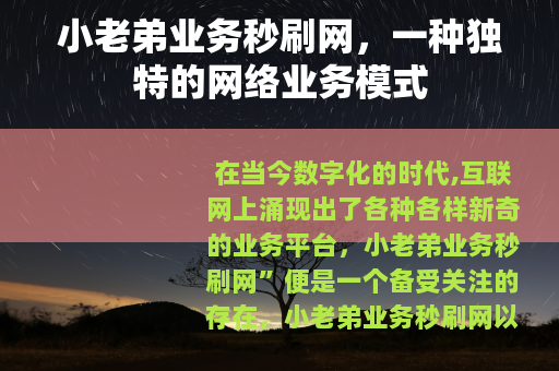 小老弟业务秒刷网，一种独特的网络业务模式