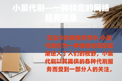 小晨代刷—一种特定的网络服务现象