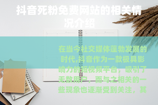 抖音死粉免费网站的相关情况介绍