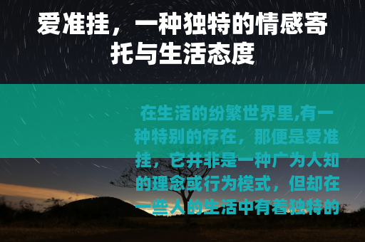 爱准挂，一种独特的情感寄托与生活态度