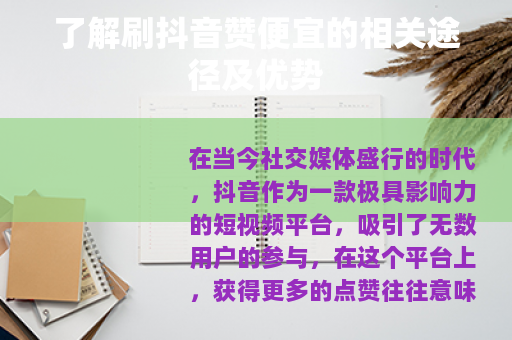 了解刷抖音赞便宜的相关途径及优势