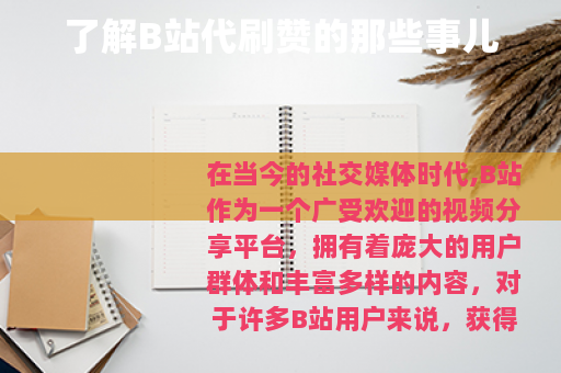 了解B站代刷赞的那些事儿