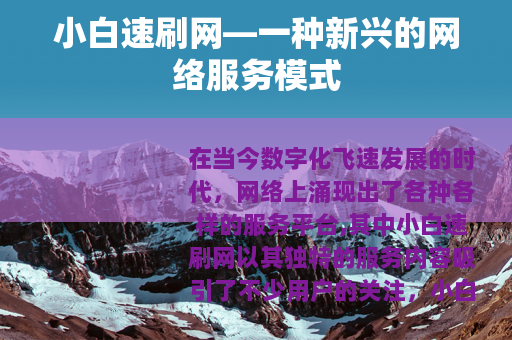 小白速刷网—一种新兴的网络服务模式