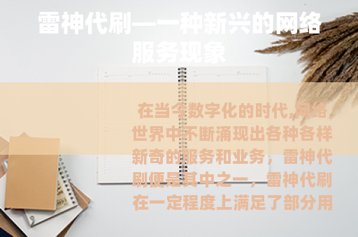 雷神代刷—一种新兴的网络服务现象