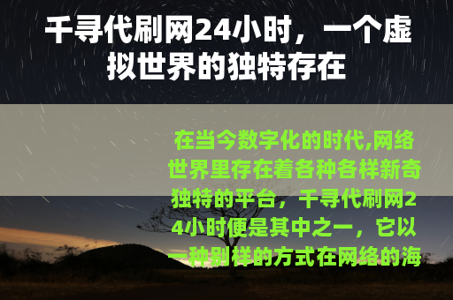 千寻代刷网24小时，一个虚拟世界的独特存在