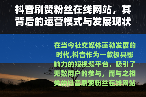 抖音刷赞粉丝在线网站，其背后的运营模式与发展现状