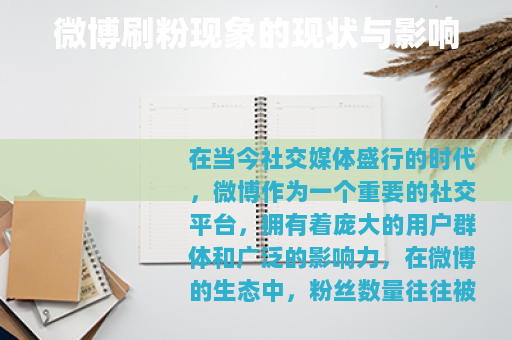 微博刷粉现象的现状与影响