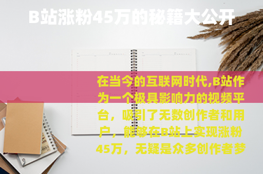 B站涨粉45万的秘籍大公开