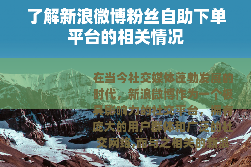 了解新浪微博粉丝自助下单平台的相关情况