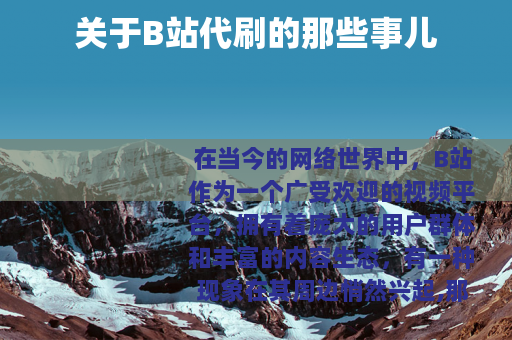 关于B站代刷的那些事儿