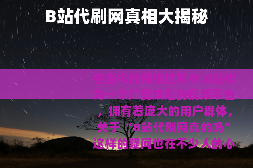 B站代刷网真相大揭秘