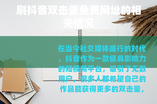 刷抖音双击量免费网址的相关情况