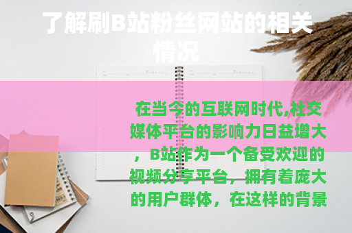 了解刷B站粉丝网站的相关情况