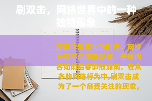 刷双击，网络世界中的一种独特现象