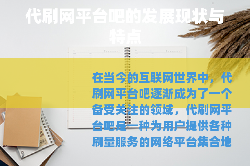 代刷网平台吧的发展现状与特点