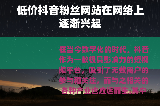 低价抖音粉丝网站在网络上逐渐兴起