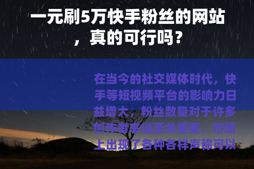 一元刷5万快手粉丝的网站，真的可行吗？