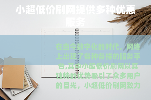 小超低价刷网提供多种优惠服务