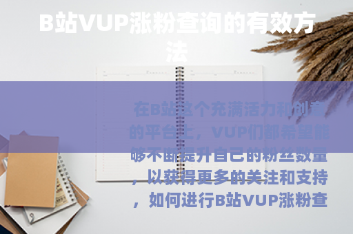 B站VUP涨粉查询的有效方法